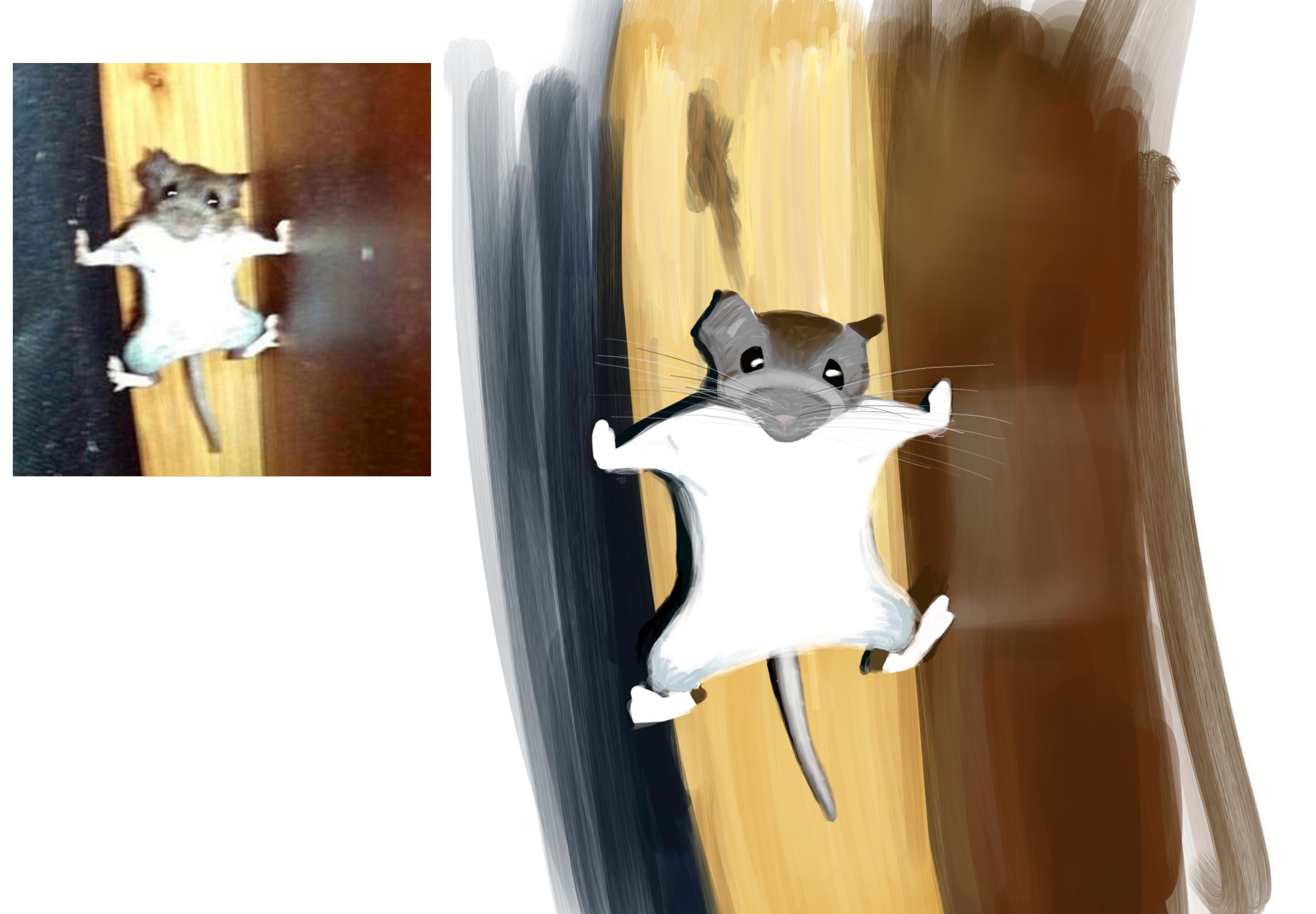 a mouse between two... somethings